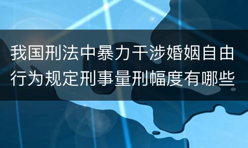 我国刑法中暴力干涉婚姻自由行为规定刑事量刑幅度有哪些