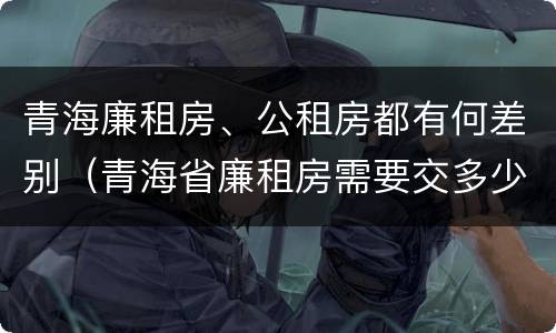 青海廉租房、公租房都有何差别（青海省廉租房需要交多少钱）