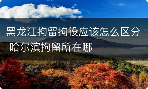黑龙江拘留拘役应该怎么区分 哈尔滨拘留所在哪