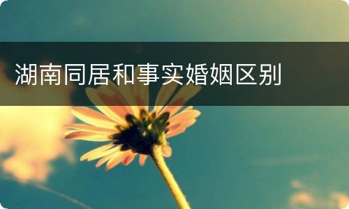 湖南同居和事实婚姻区别