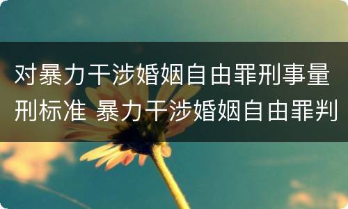对暴力干涉婚姻自由罪刑事量刑标准 暴力干涉婚姻自由罪判几年