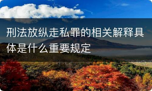 刑法放纵走私罪的相关解释具体是什么重要规定