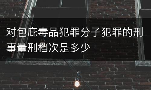 对包庇毒品犯罪分子犯罪的刑事量刑档次是多少