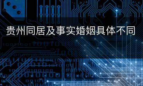 贵州同居及事实婚姻具体不同
