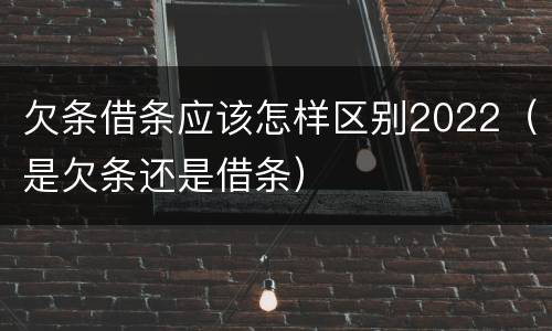 欠条借条应该怎样区别2022（是欠条还是借条）