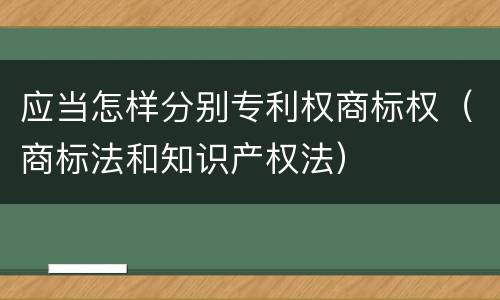 应当怎样分别专利权商标权（商标法和知识产权法）