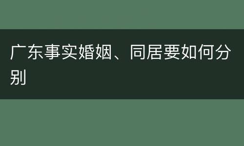 广东事实婚姻、同居要如何分别