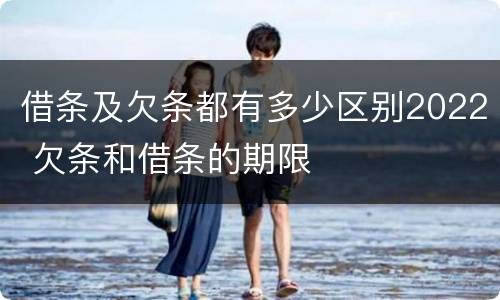 借条及欠条都有多少区别2022 欠条和借条的期限