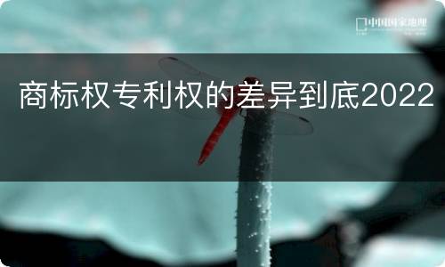 商标权专利权的差异到底2022