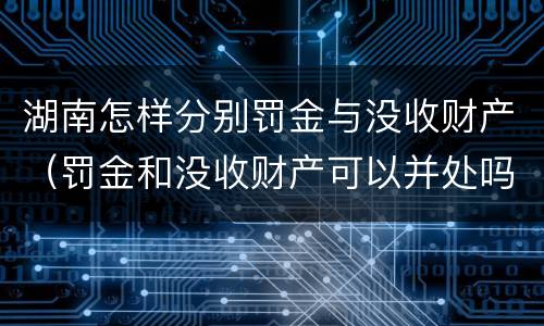 湖南怎样分别罚金与没收财产（罚金和没收财产可以并处吗）