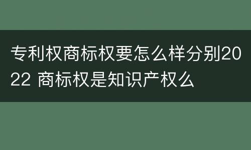 专利权商标权要怎么样分别2022 商标权是知识产权么