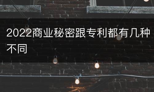 2022商业秘密跟专利都有几种不同