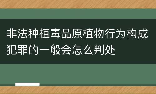 非法种植毒品原植物行为构成犯罪的一般会怎么判处
