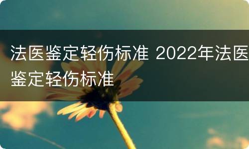法医鉴定轻伤标准 2022年法医鉴定轻伤标准