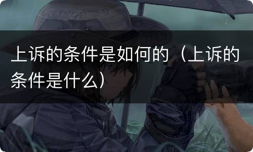 上诉的条件是如何的（上诉的条件是什么）