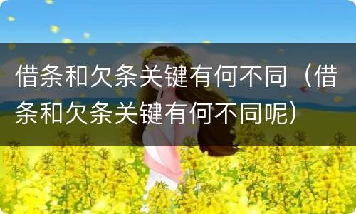 借条和欠条关键有何不同（借条和欠条关键有何不同呢）