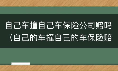 自己车撞自己车保险公司赔吗（自己的车撞自己的车保险赔吗）