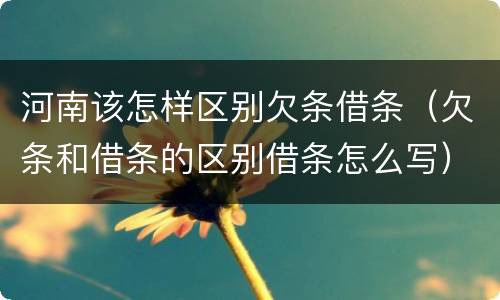 河南该怎样区别欠条借条（欠条和借条的区别借条怎么写）