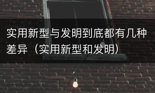 实用新型与发明到底都有几种差异（实用新型和发明）