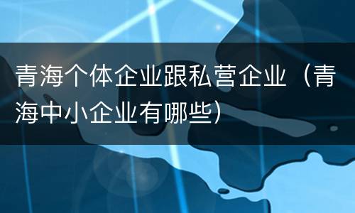 青海个体企业跟私营企业（青海中小企业有哪些）