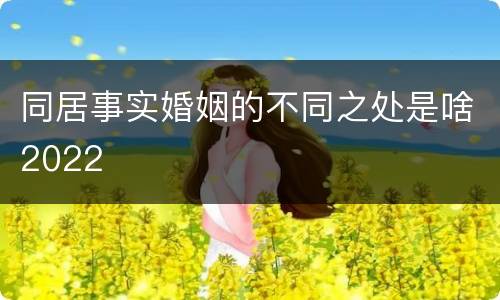 同居事实婚姻的不同之处是啥2022