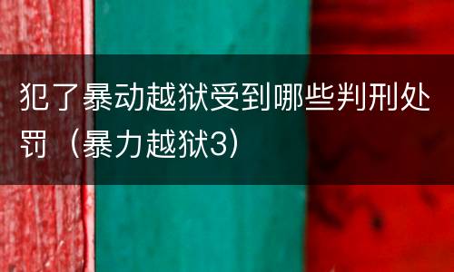 犯了暴动越狱受到哪些判刑处罚（暴力越狱3）