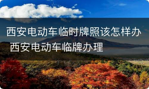 西安电动车临时牌照该怎样办 西安电动车临牌办理