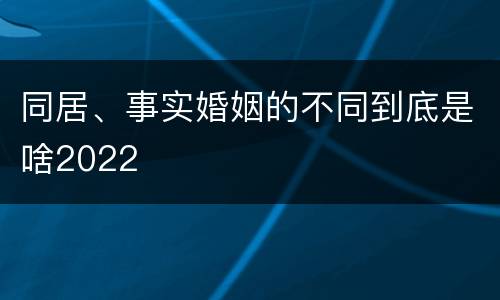 同居、事实婚姻的不同到底是啥2022