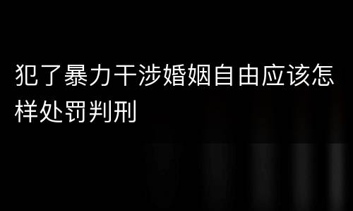 犯了暴力干涉婚姻自由应该怎样处罚判刑