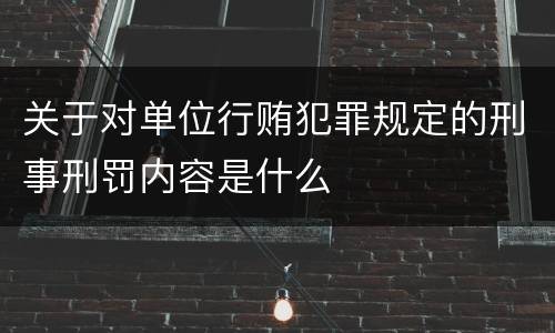 关于对单位行贿犯罪规定的刑事刑罚内容是什么