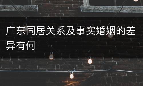 广东同居关系及事实婚姻的差异有何