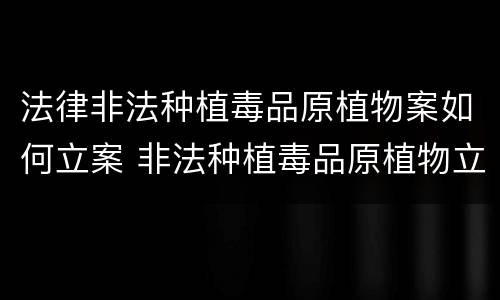 法律非法种植毒品原植物案如何立案 非法种植毒品原植物立案标准