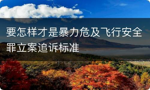 要怎样才是暴力危及飞行安全罪立案追诉标准