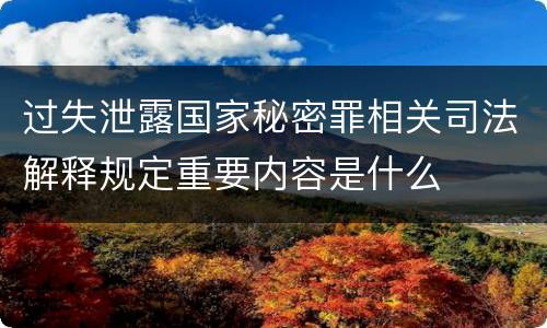 过失泄露国家秘密罪相关司法解释规定重要内容是什么
