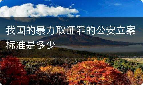 我国的暴力取证罪的公安立案标准是多少