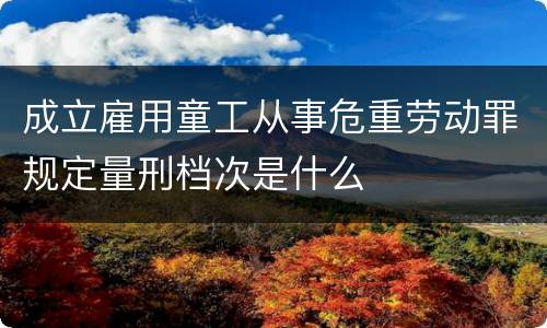 成立雇用童工从事危重劳动罪规定量刑档次是什么