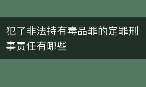 犯了非法持有毒品罪的定罪刑事责任有哪些