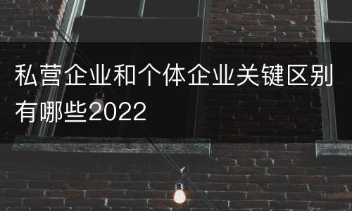 私营企业和个体企业关键区别有哪些2022