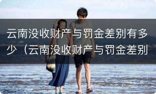 云南没收财产与罚金差别有多少(云南没收财产与罚金差别有多少呢)