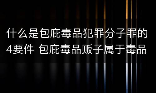 什么是包庇毒品犯罪分子罪的4要件 包庇毒品贩子属于毒品犯罪吗
