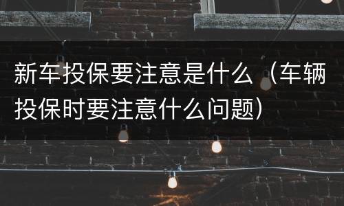 新车投保要注意是什么（车辆投保时要注意什么问题）