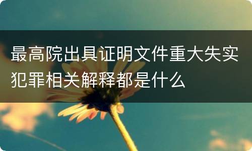 最高院出具证明文件重大失实犯罪相关解释都是什么