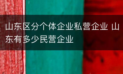 山东区分个体企业私营企业 山东有多少民营企业