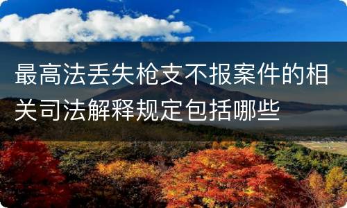 最高法丢失枪支不报案件的相关司法解释规定包括哪些