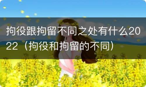 拘役跟拘留不同之处有什么2022（拘役和拘留的不同）