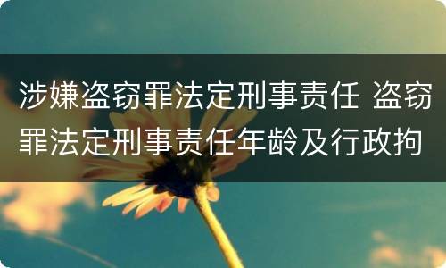 涉嫌盗窃罪法定刑事责任 盗窃罪法定刑事责任年龄及行政拘留规定
