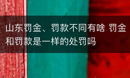 山东罚金、罚款不同有啥 罚金和罚款是一样的处罚吗