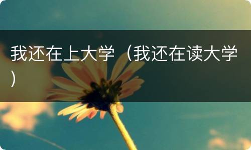 我还在上大学（我还在读大学）