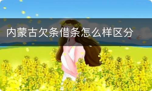 内蒙古欠条借条怎么样区分