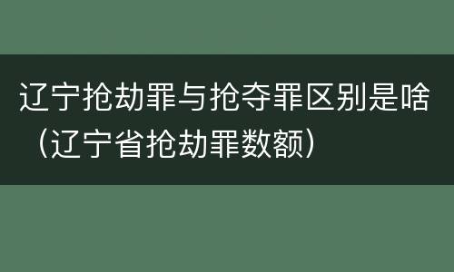 辽宁抢劫罪与抢夺罪区别是啥（辽宁省抢劫罪数额）